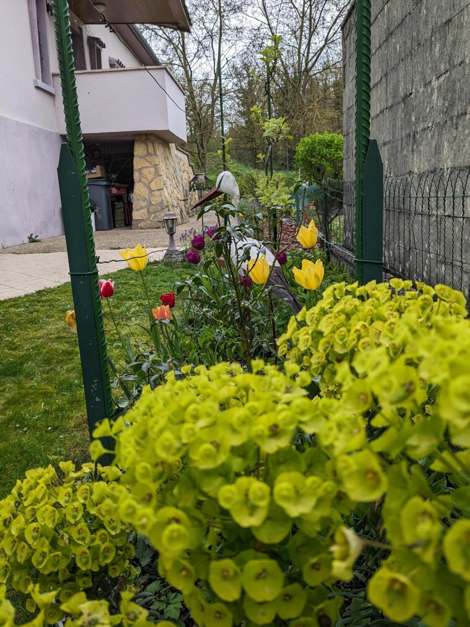 Villa Chantal Verdun-sur-Meuse Esterno foto
