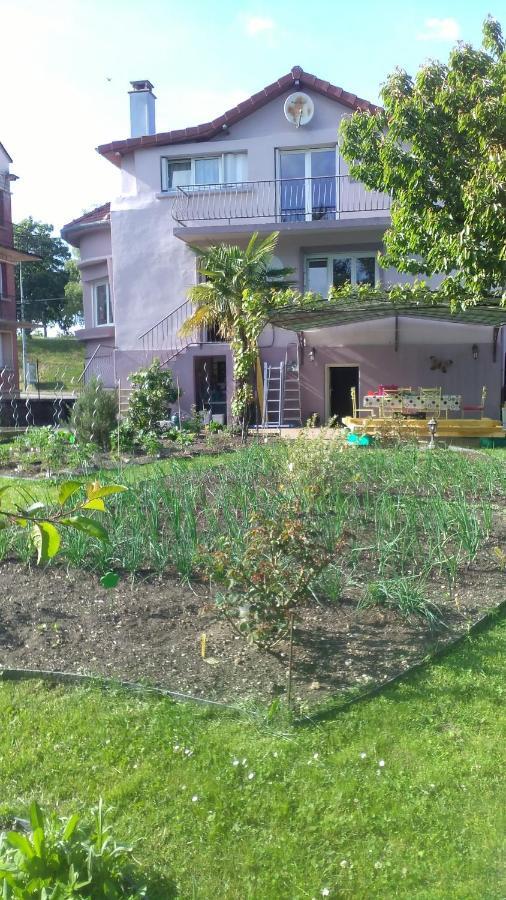 Villa Chantal Verdun-sur-Meuse Esterno foto